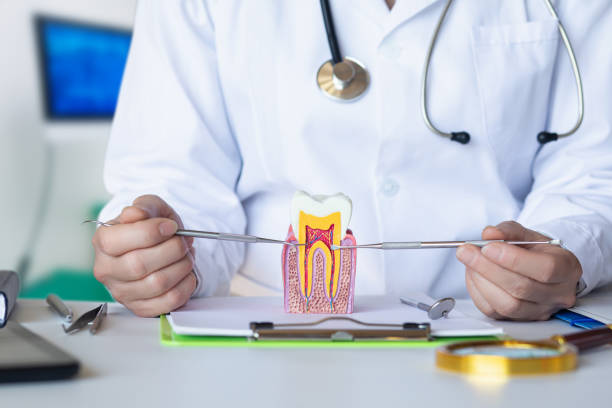Best Same-Day Emergency Dentist in Pierceton, IN